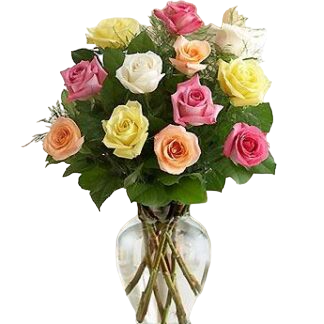 15 multi-colored roses | Flower Delivery Omsk